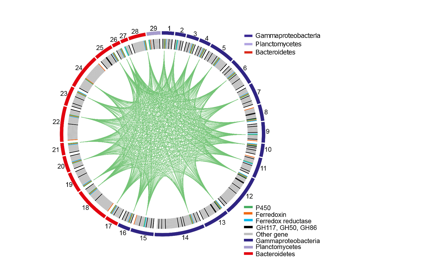 Genomanalyse mariner P450-Enzyme - Grafik: Autoren der Studie